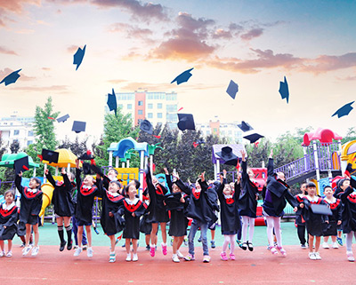 Z6���������ǲ�(�й���)�ٷ���վ