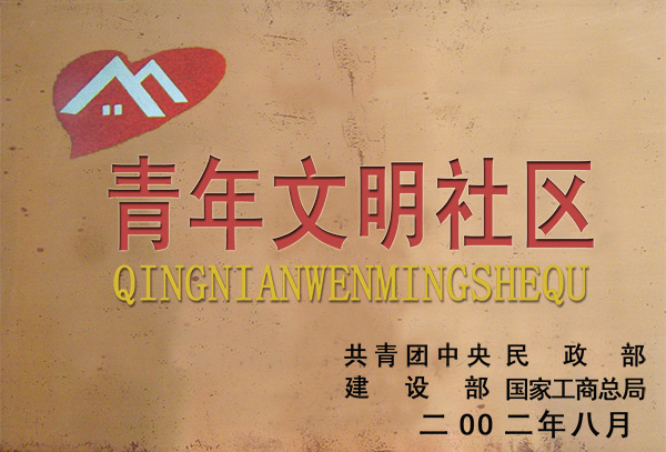 全国青年文化社区
