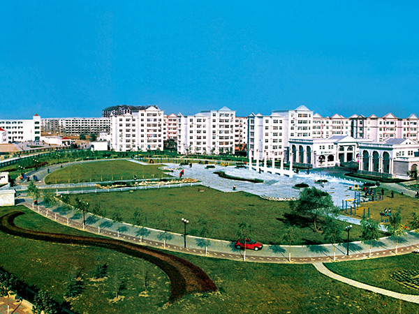 ��̩����