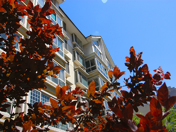 �˺�����