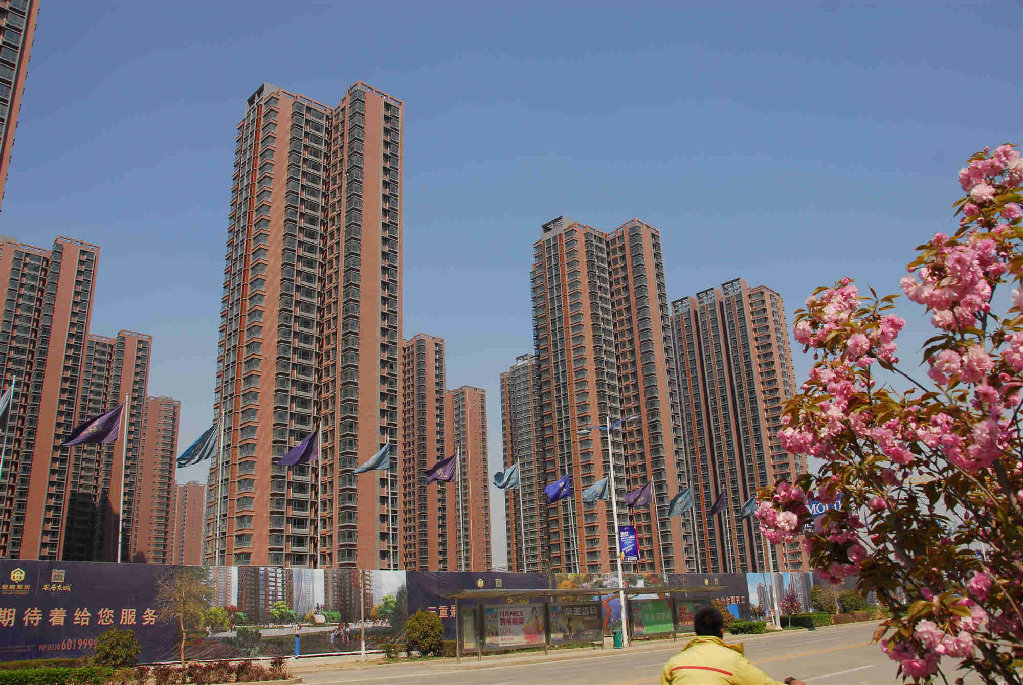 Z6�������ǲ������׸�