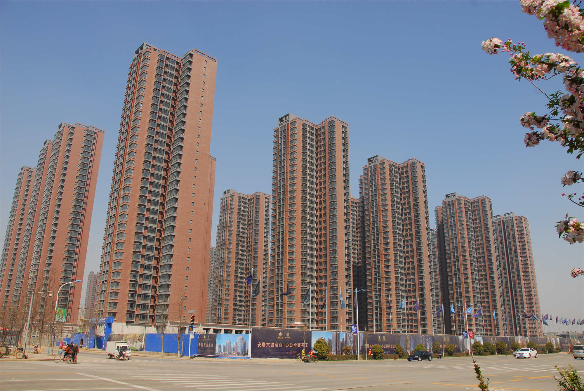 Z6�������ǲ������׸�