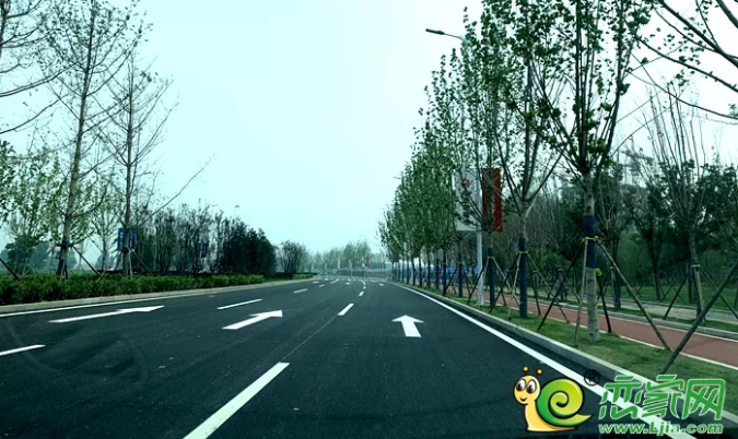 Z6���������ǲ�(�й���)�ٷ���վ