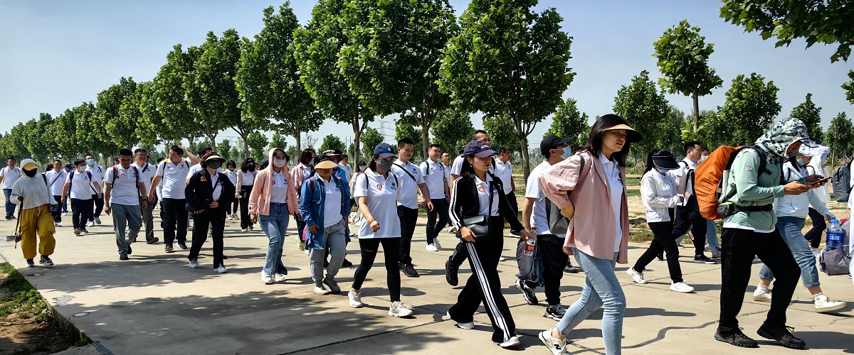 Z6���������ǲ�(�й���)�ٷ���վ