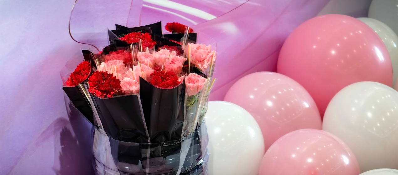 Z6���������ǲ�(�й���)�ٷ���վ