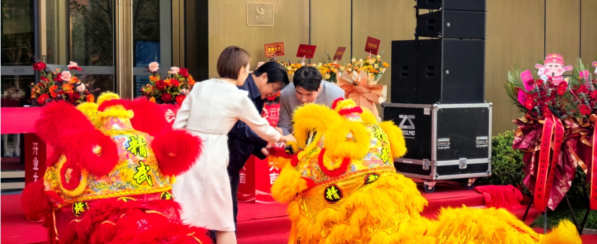 Z6���������ǲ�(�й���)�ٷ���վ